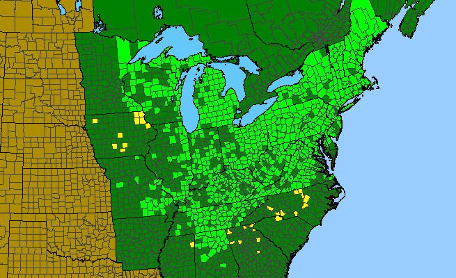 The range of Erythronium americanum ssp. harperi